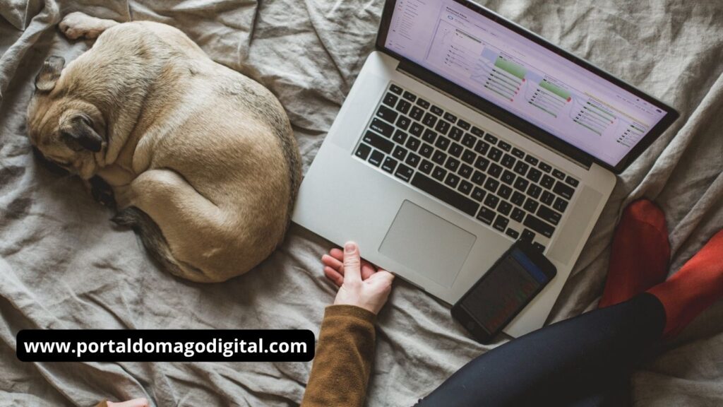 Ganhar Dinheiro na Internet Trabalhando em Casa